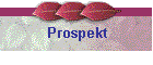 Prospekt